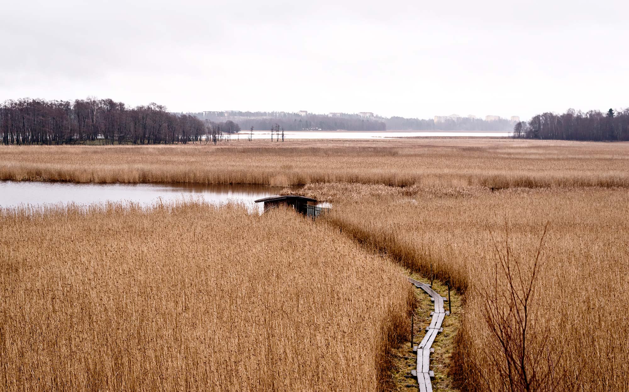 How to spend 3 days in Helsinki. And why you should visit Helsinki in 2017. Vanhankaupunginlahti Nature Reserve