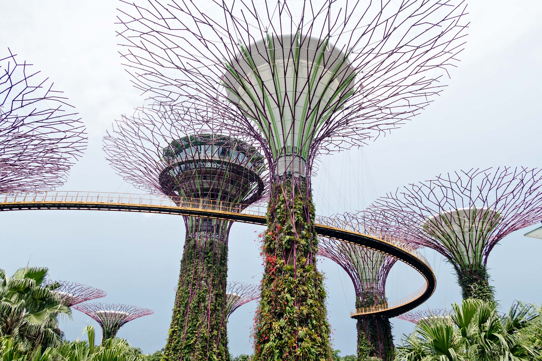 Ultimate Guide to the Best Places to Go, Eat and Stay in Singapore | Gardens by the Bay - Supertree Grove