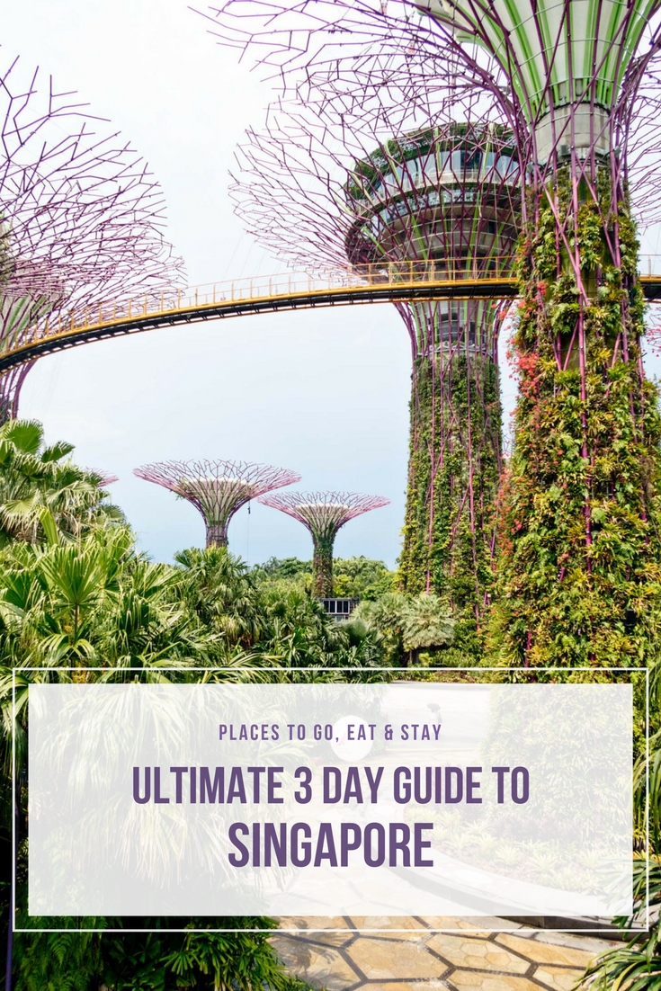 Ultimate 3 Day Guide to Singapore | Best places to go, eat and stay