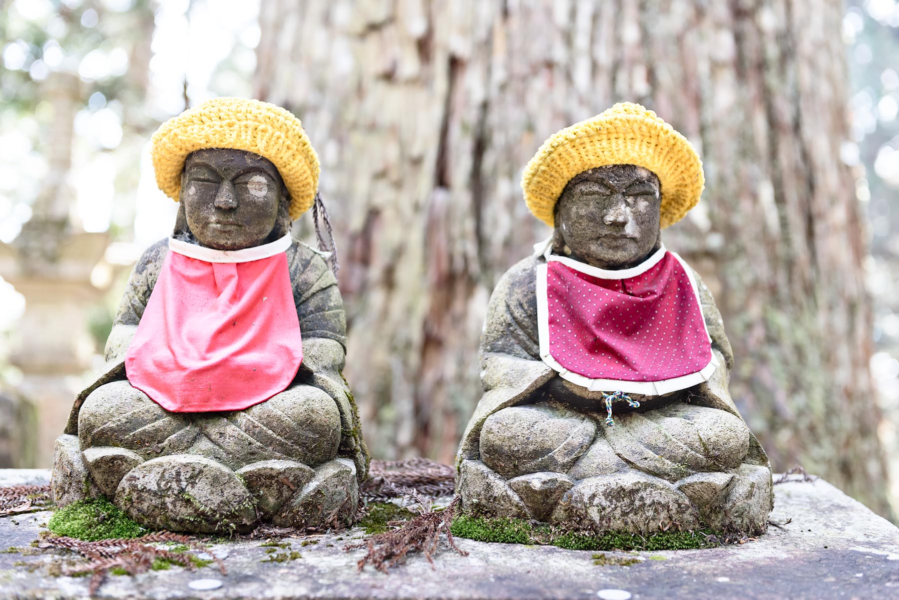 A Perfect 2 Week Itinerary for Your First Trip to Japan | Koya-San