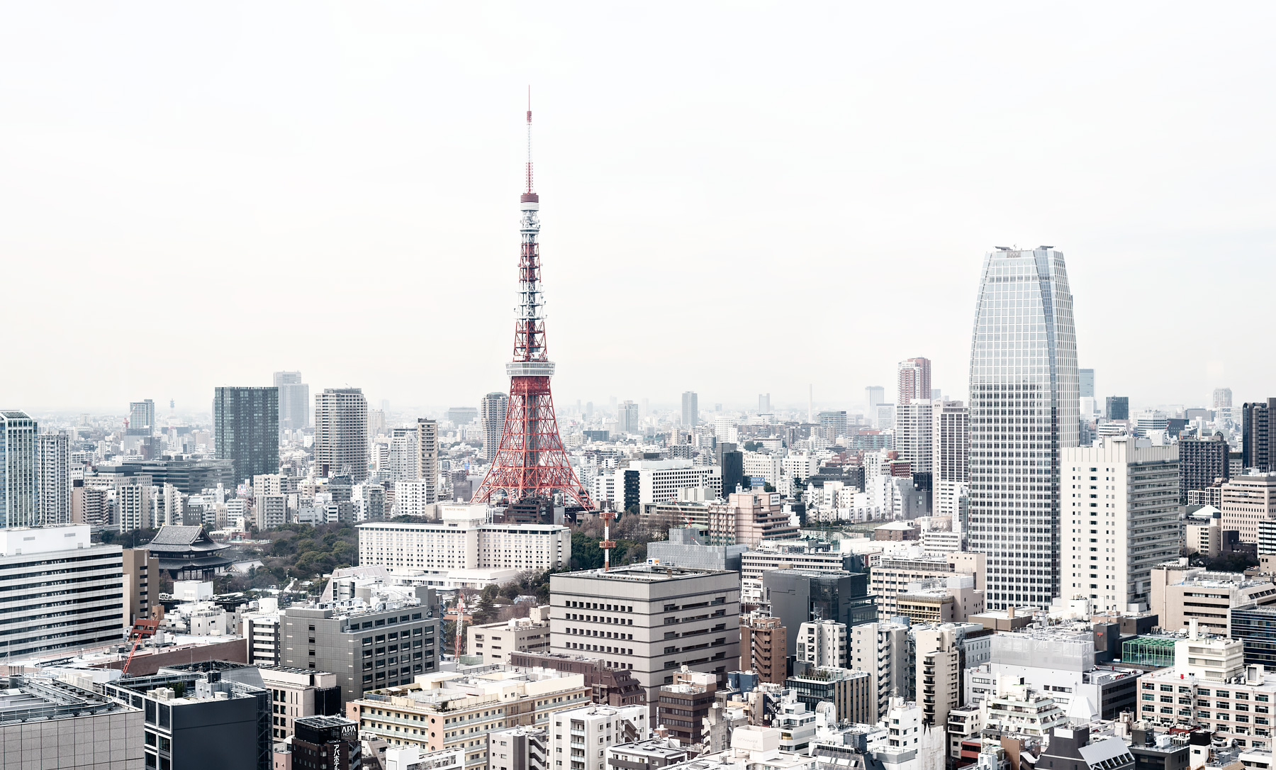 A Perfect 2 Week Itinerary for Your First Trip to Japan | Tokyo