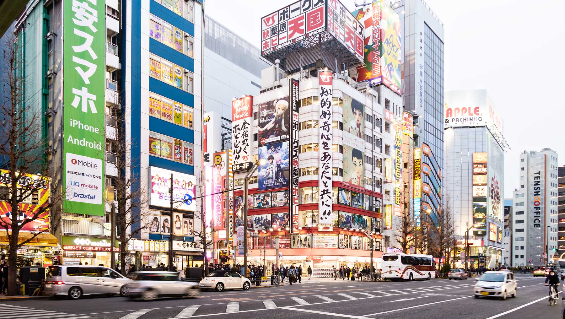 A Perfect 2 Week Itinerary for Your First Trip to Japan | Tokyo