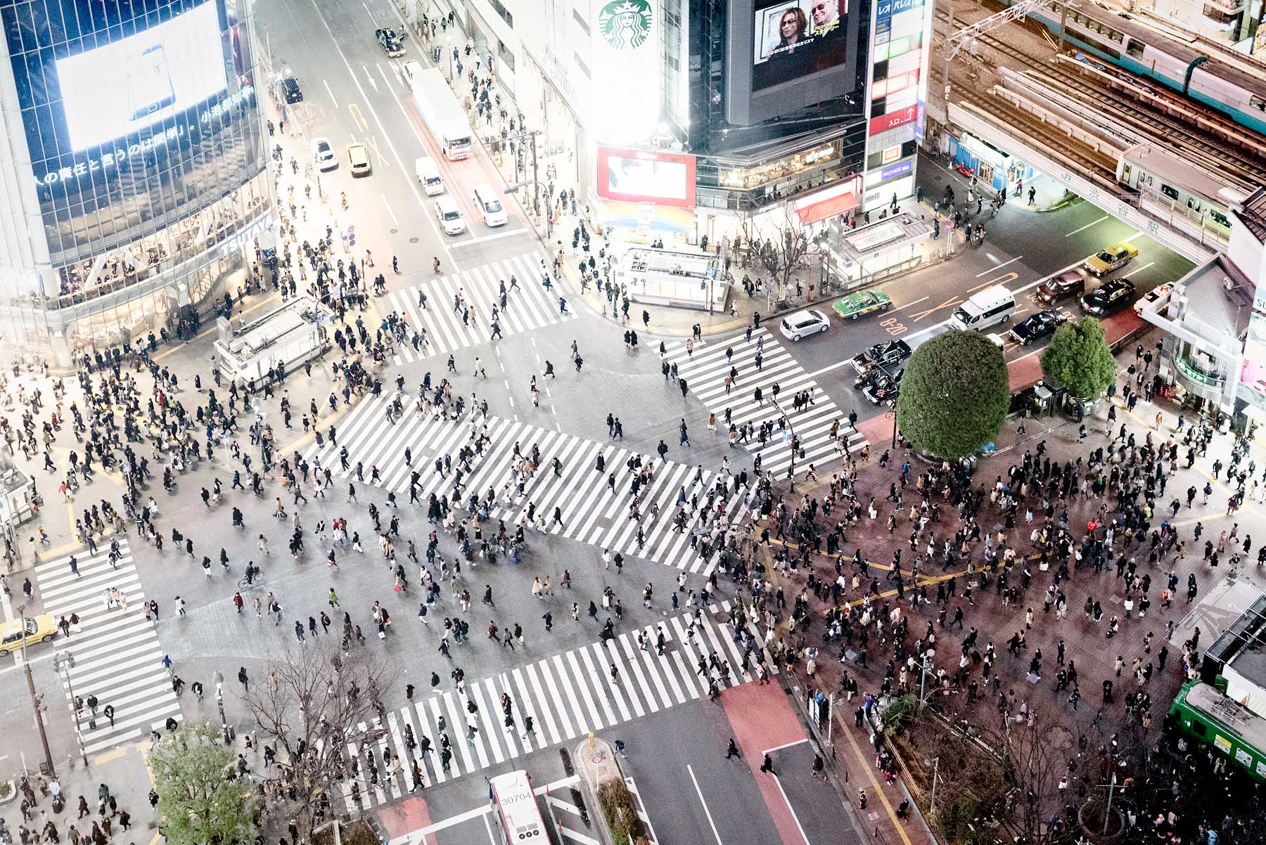 A Perfect 2 Week Itinerary for Your First Trip to Japan | Shibuya Crossing Tokyo