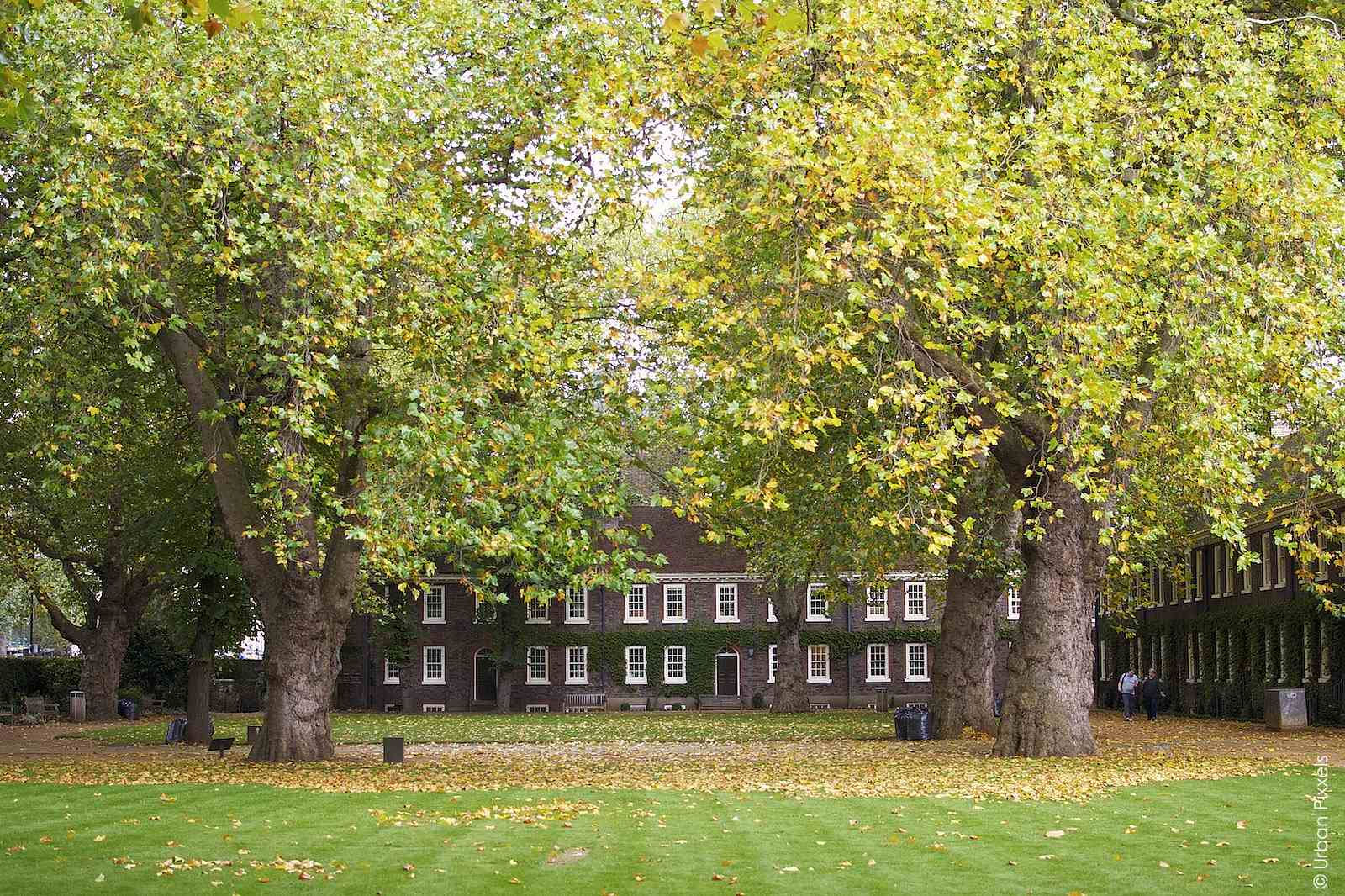 Geffrye Museum’s Autumn Garden