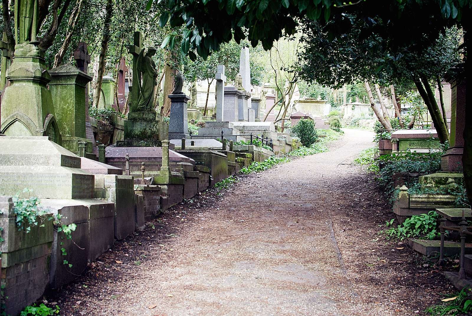 Highgate Cemetery in London
