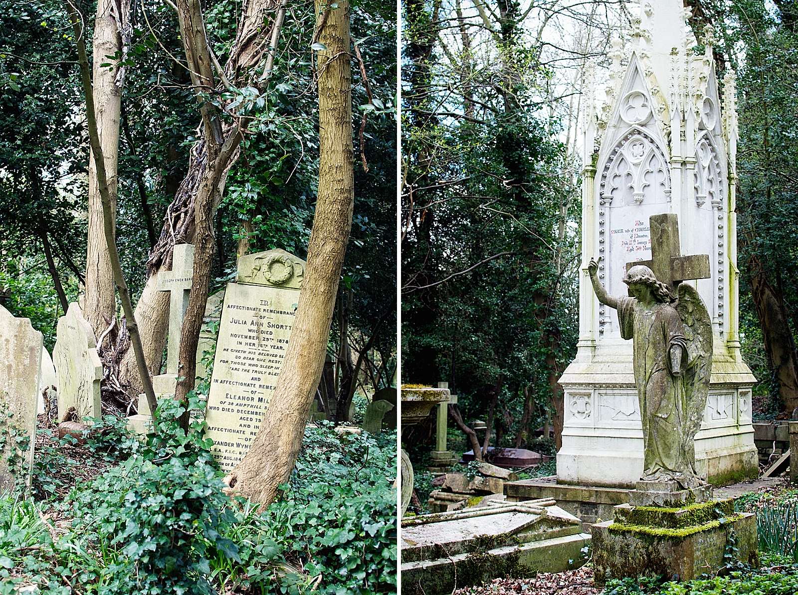 Highgate Cemetery in London
