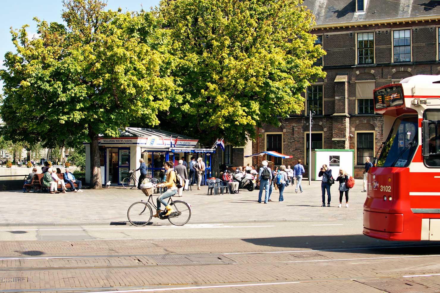 Two common ways of transportation in Den Haag: the tram and cycling