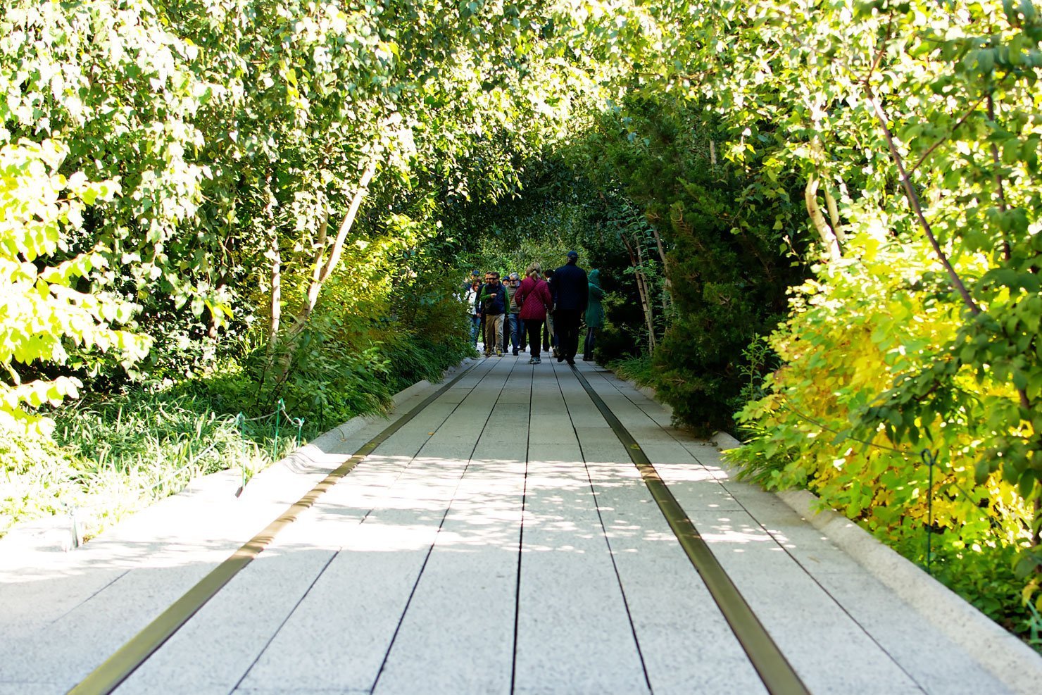 Rail track of the High Line in New York