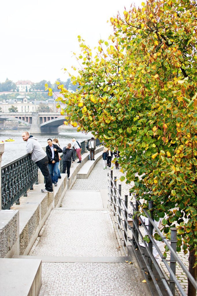 Prague autumn leaves