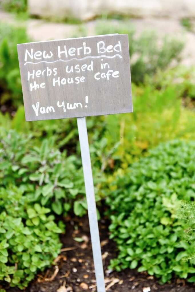 Strawberry Hill House