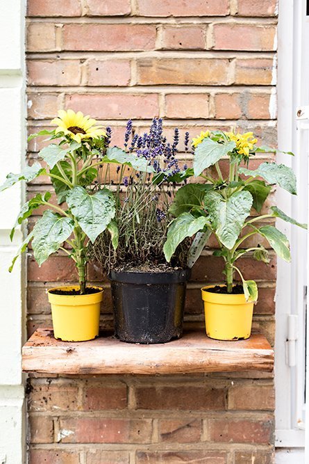 Exploring London villages: Bermondsey Street near London Bridge. B-Street Deli.