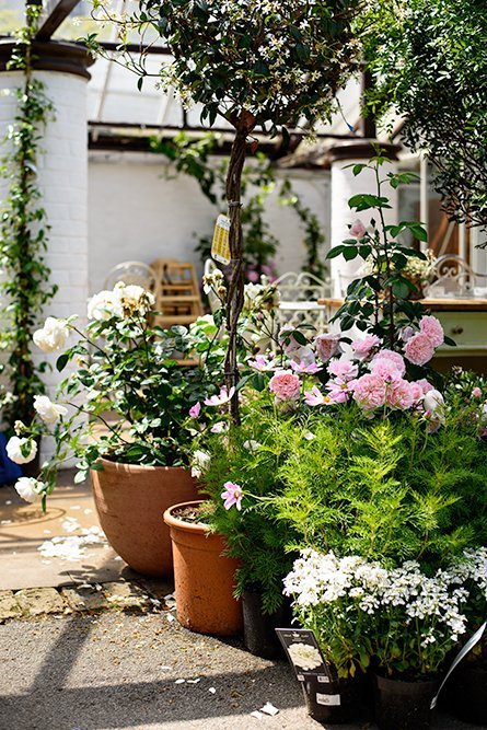Brunch at The Quince Tree Cafe at the Clifton Nurseries in Maide Vale, London