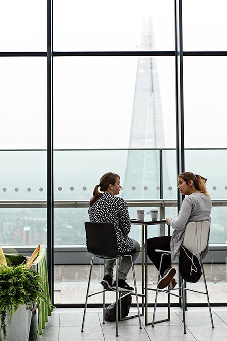 The Sky Garden at the top of the Walkie Talkie in London. A public open space and garden with spectacular views.