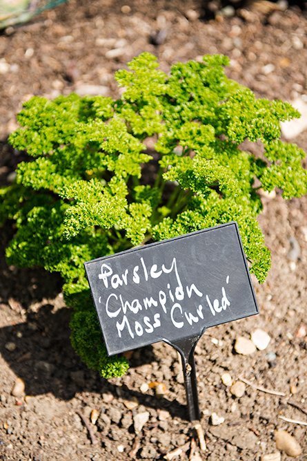 The beautiful gardens at Osterley Park, an 18th century country estate in London.