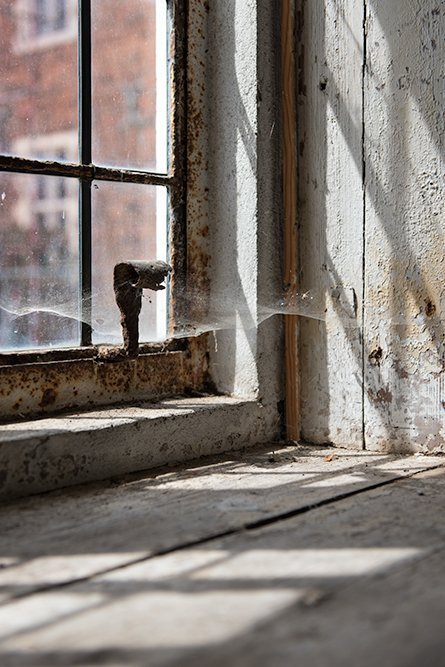 The beautiful gardens at Osterley Park, an 18th century country estate in London.
