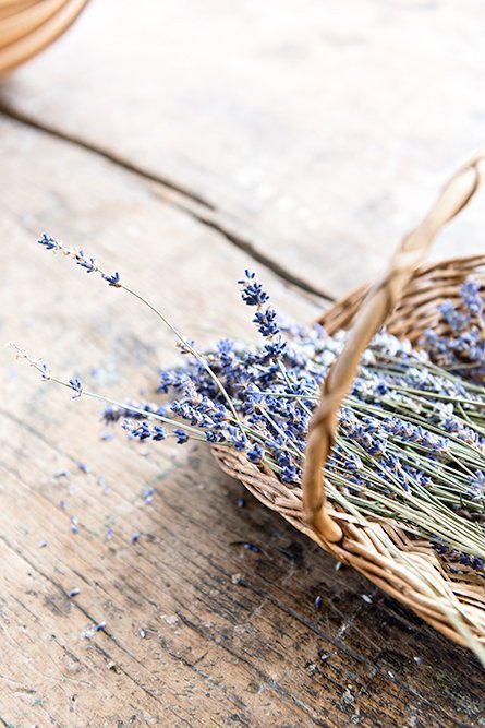 Lavender in the kitchen at Osterley House, an 18th century mansion in London.