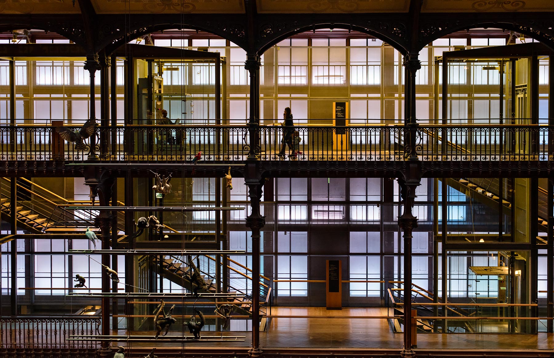 Ten amazing new places I discovered in Paris - Museum of Natural History