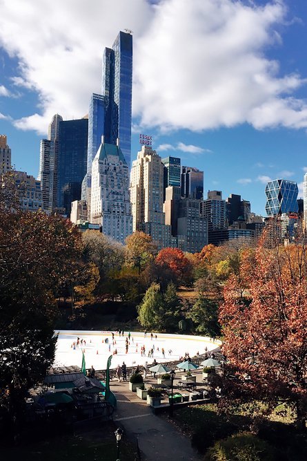 Central Park - 24 Hours in New York City