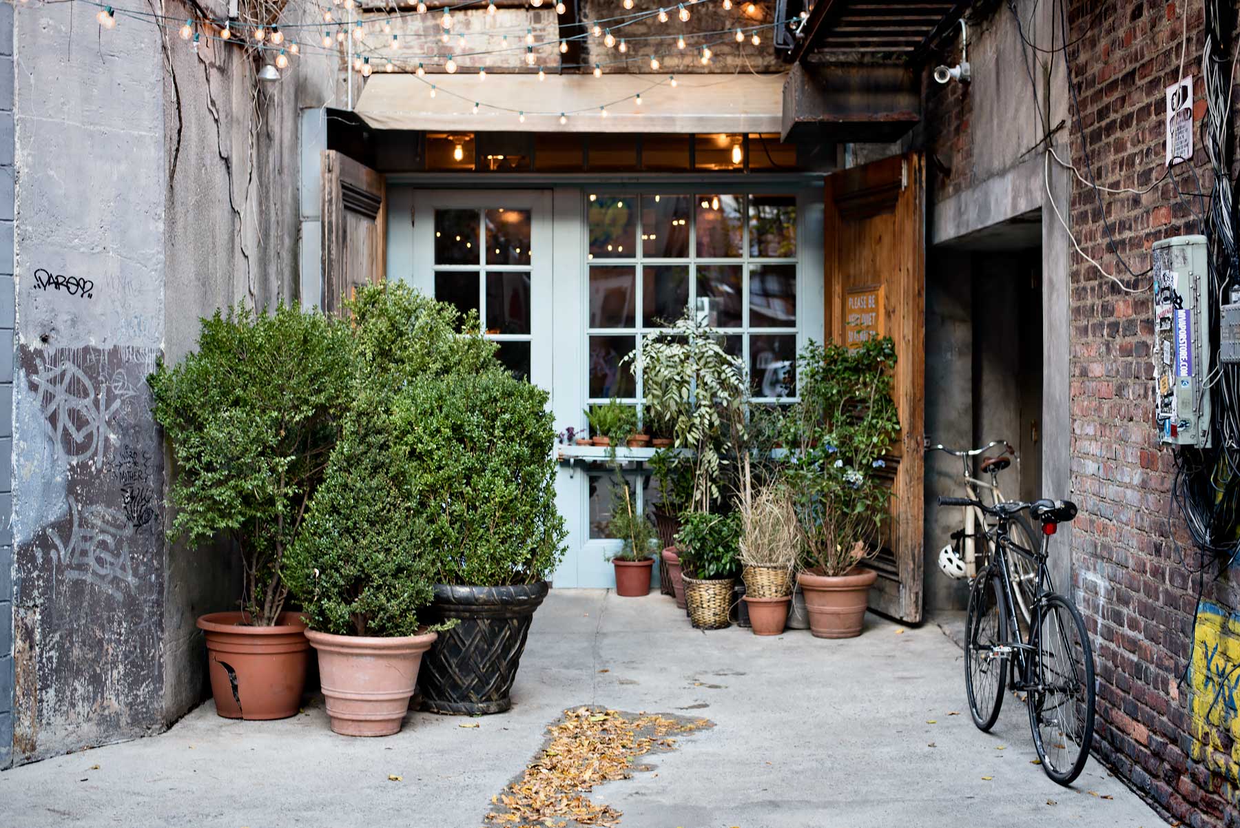 24 Hours in New York (My First Vlog!)