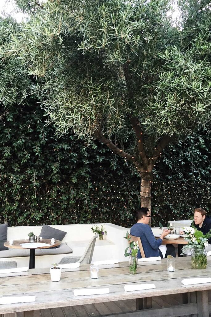 9 amazing & yummy places to eat healthy in Los Angeles - Plant Food + Wine vegan restaurant in Venice, LA