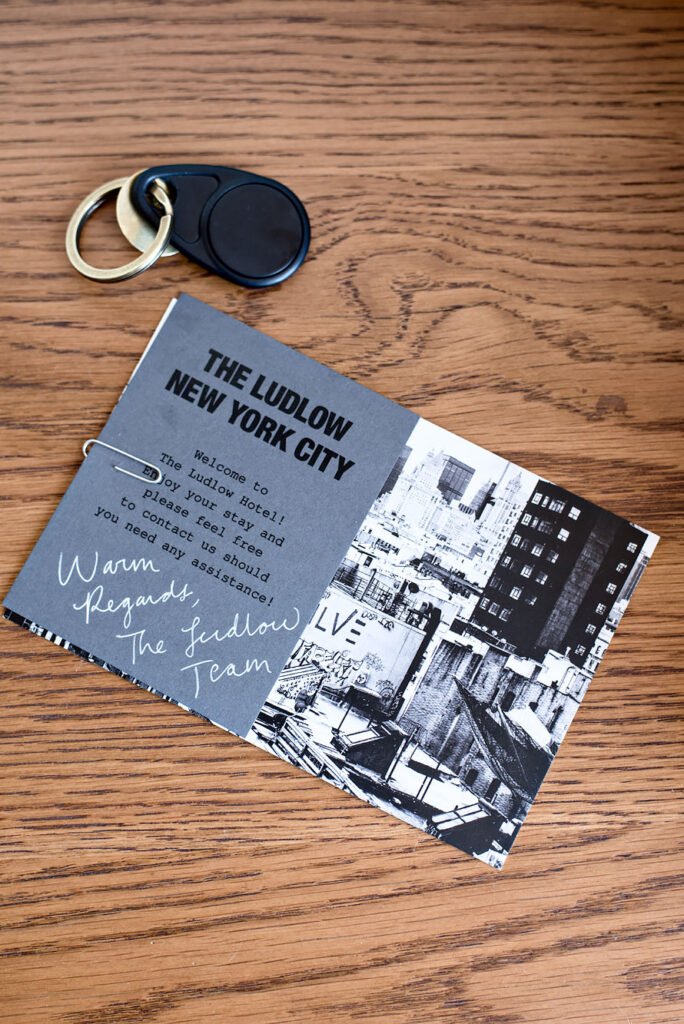 LuTrendy boutique hotel The Ludlow in New York City