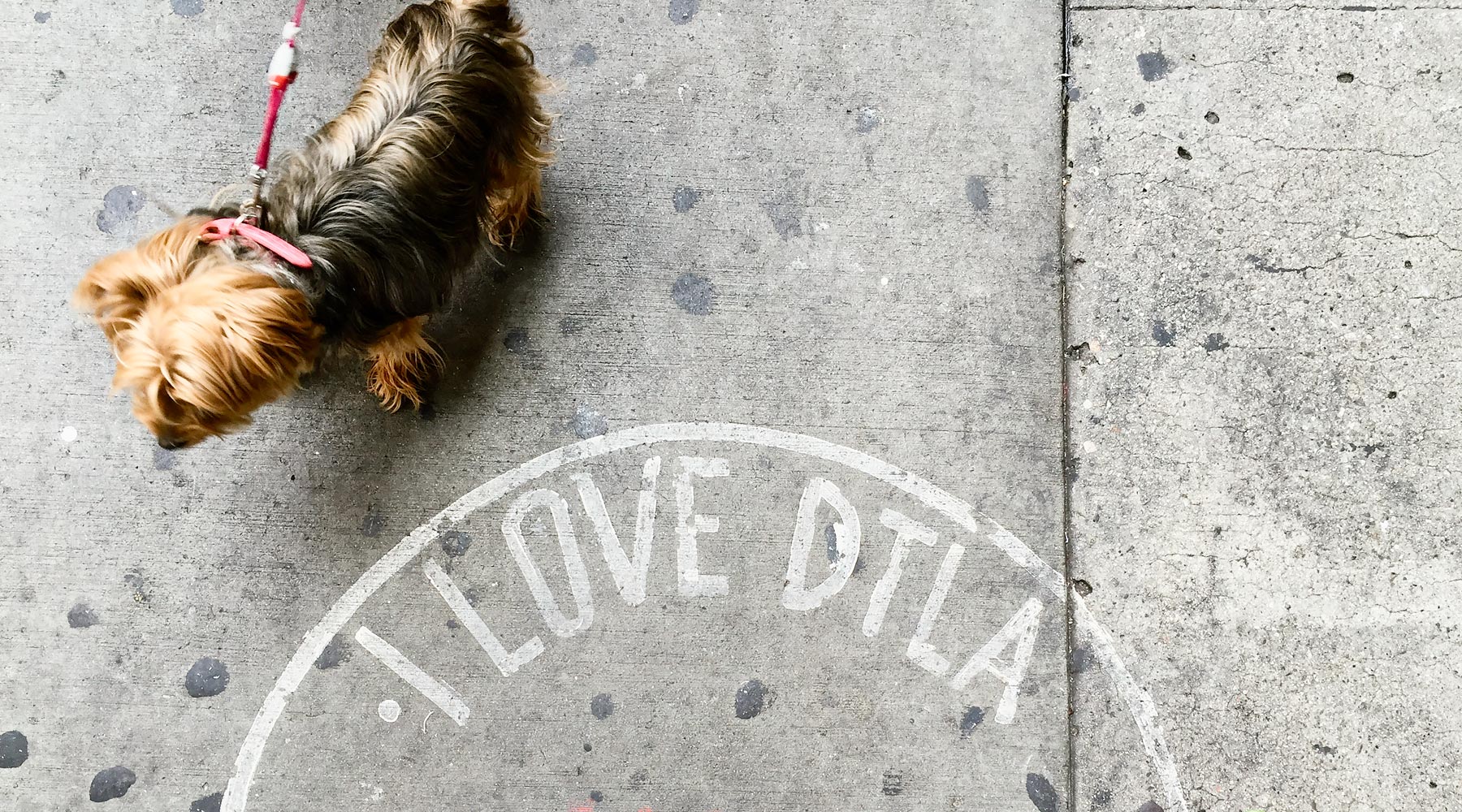 My 10 Favorite Things to do in LA | I love DTLA