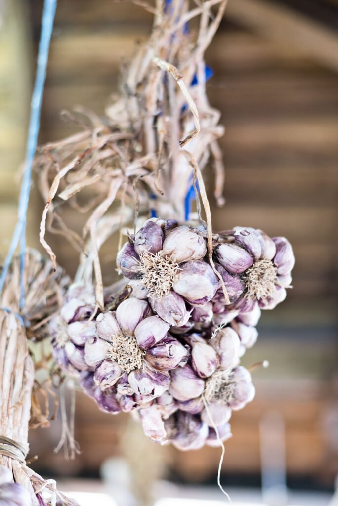 Weekend in Porto - 6 Experiences you don't want to miss. Mercado do Bolhao food market.