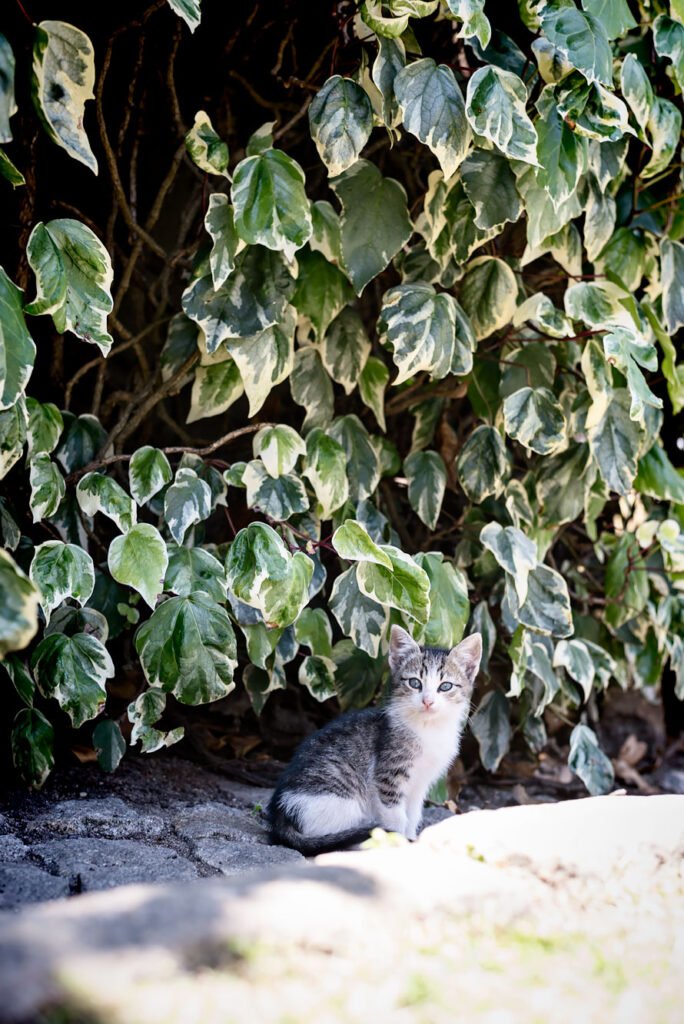 Weekend in Porto - 6 Experiences you don't want to miss. Vintage port tour at Real Companhia Velha