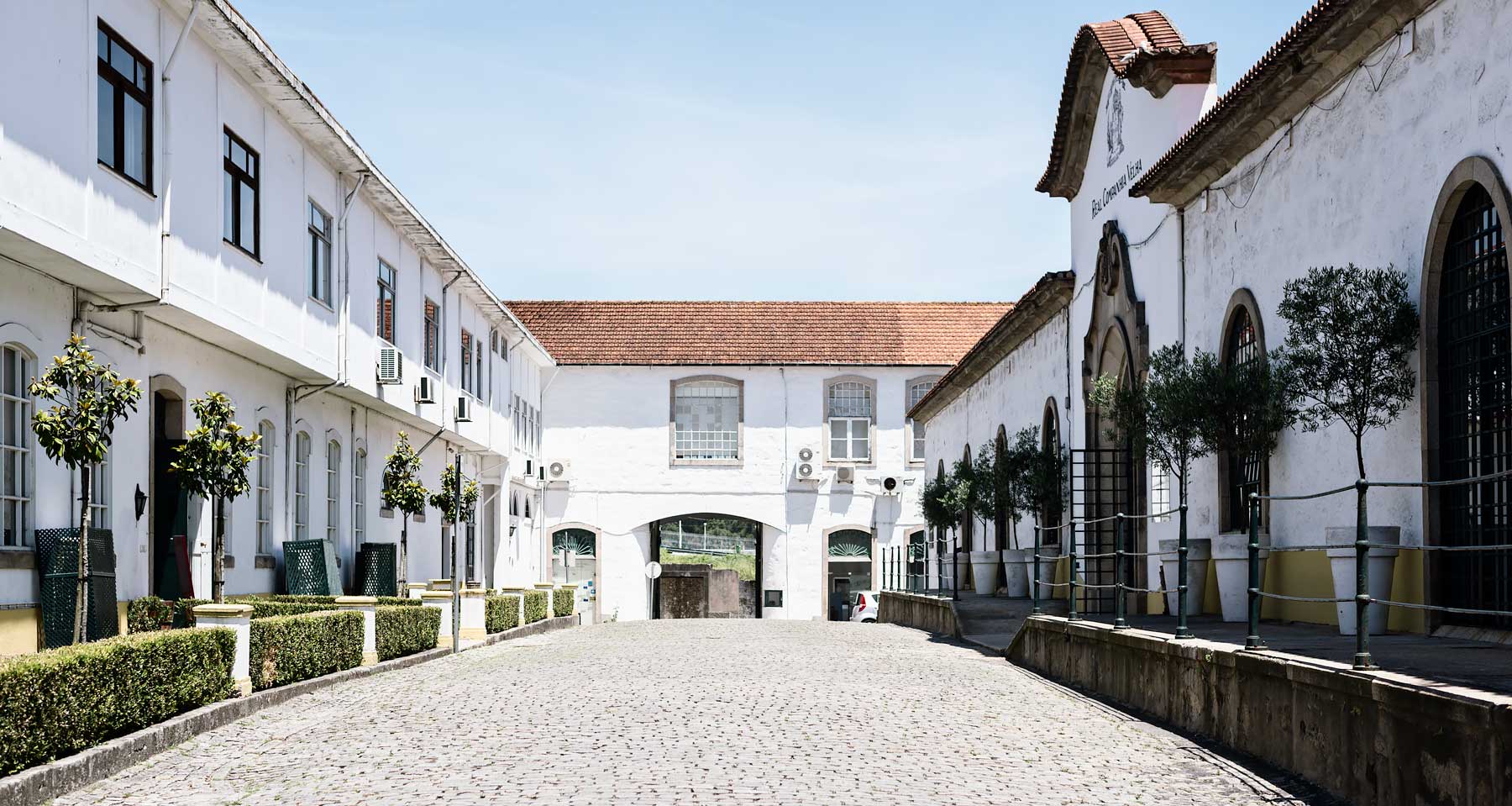 Weekend in Porto - 6 Experiences you don't want to miss. Vintage port tour at Real Companhia Velha