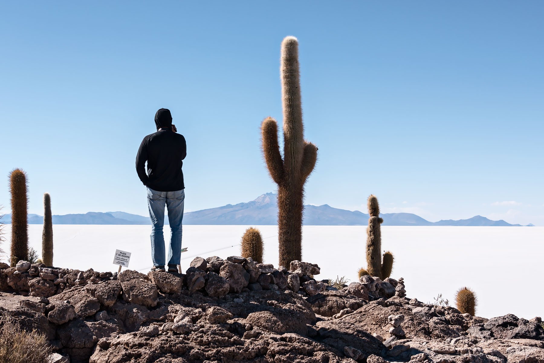 Cactus Island - Salar de Uyuni: 5 Unforgettable Experiences on Bolivia's Salt Flats and Colored Lagoons