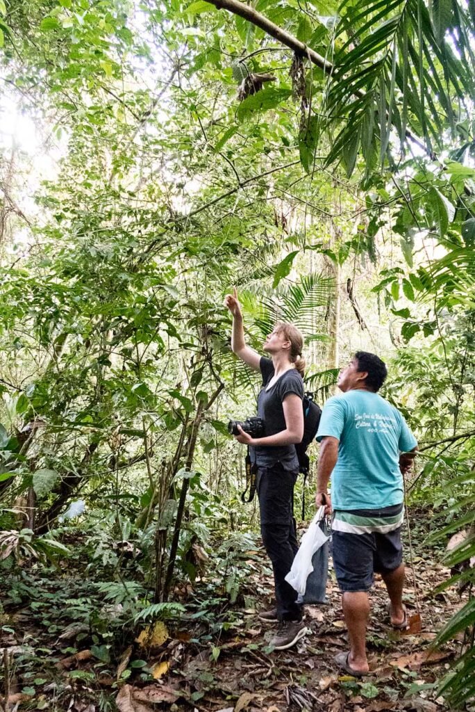 Spotting animals in Madidi National Park, Bolivia