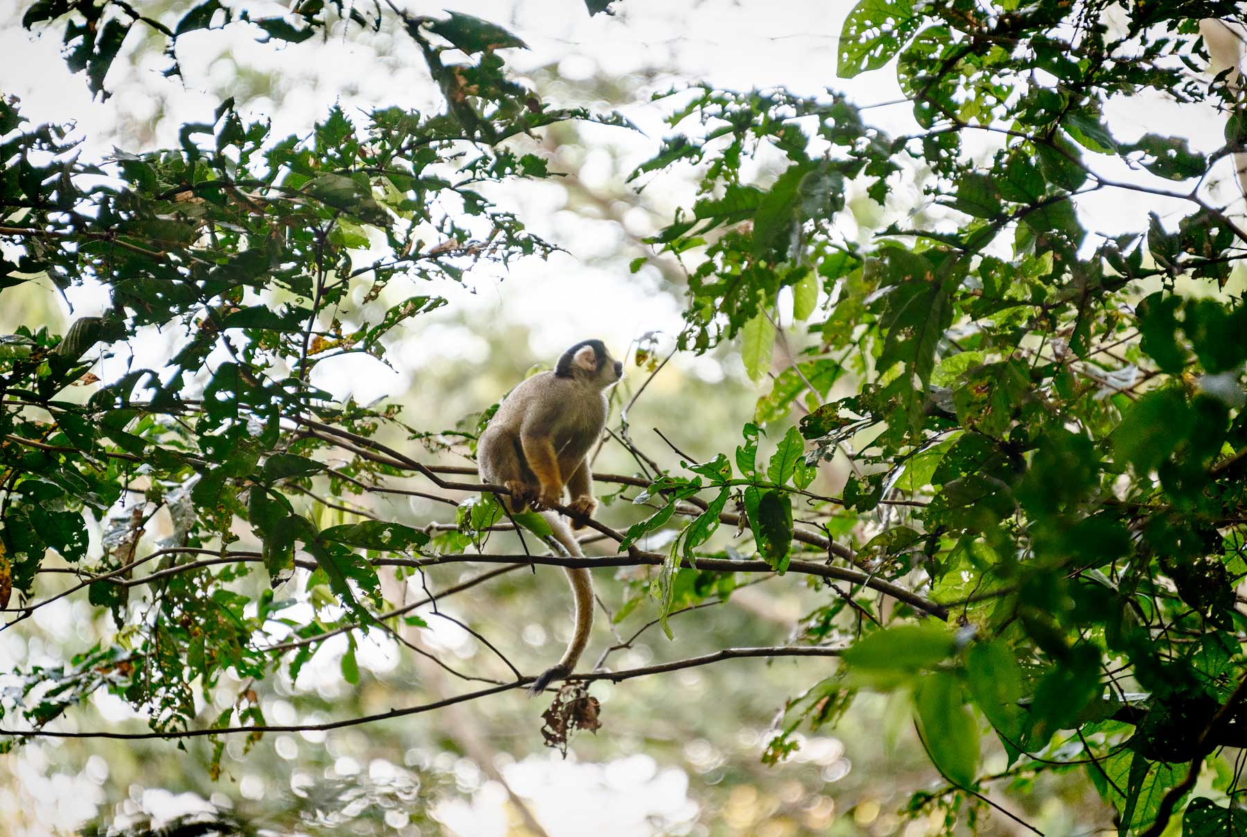 The Ultimate Gear Guide for Great Travel Photography