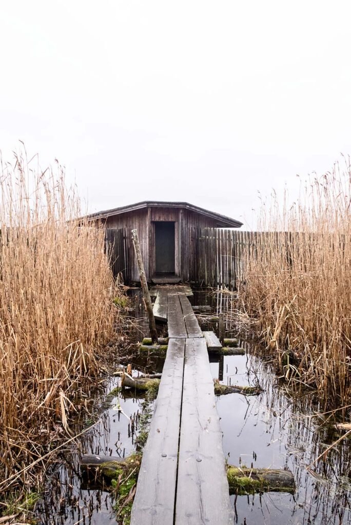 How to spend 3 days in Helsinki. And why you should visit Helsinki in 2017. Vanhankaupunginlahti Nature Reserve