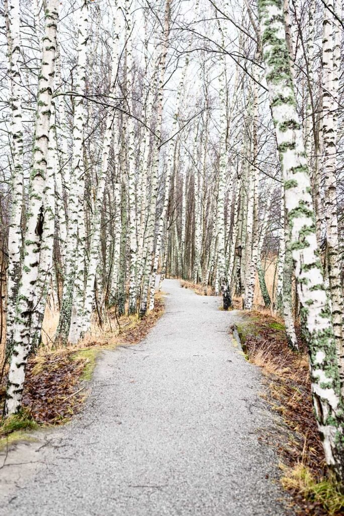 How to spend 3 days in Helsinki. And why you should visit Helsinki in 2017. Vanhankaupunginlahti Nature Reserve