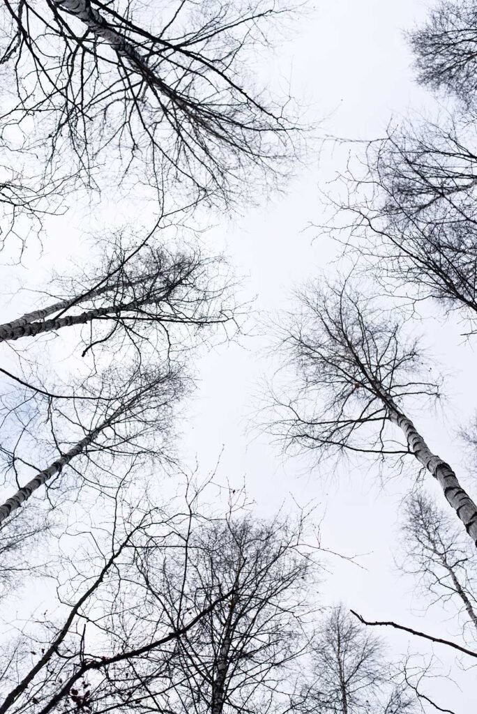 How to spend 3 days in Helsinki. And why you should visit Helsinki in 2017. Vanhankaupunginlahti Nature Reserve