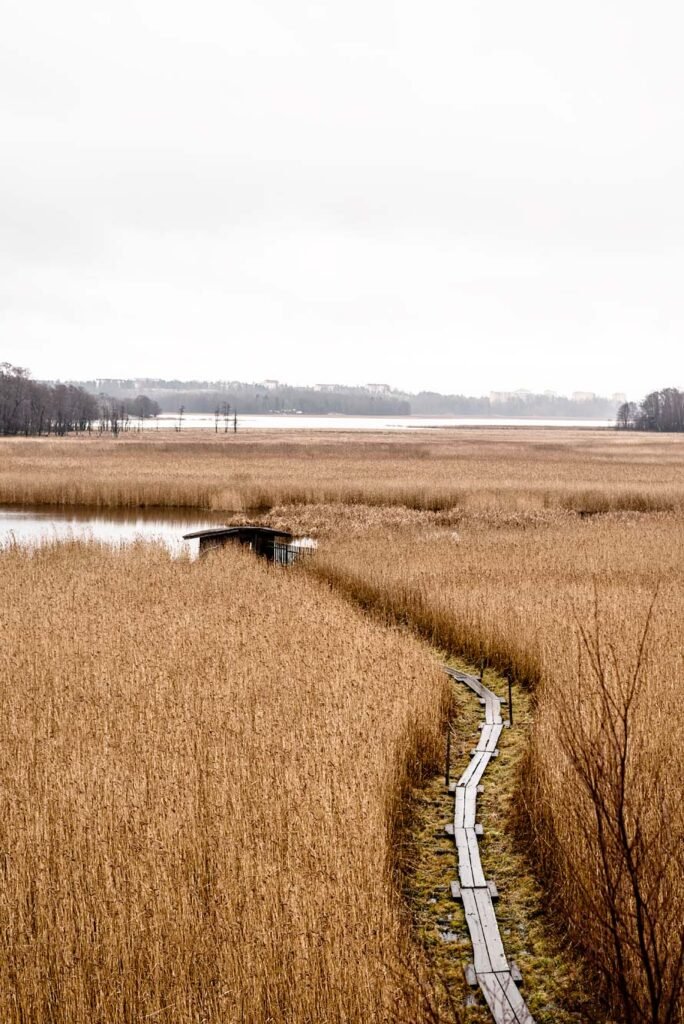 How to spend 3 days in Helsinki. And why you should visit Helsinki in 2017. Vanhankaupunginlahti Nature Reserve