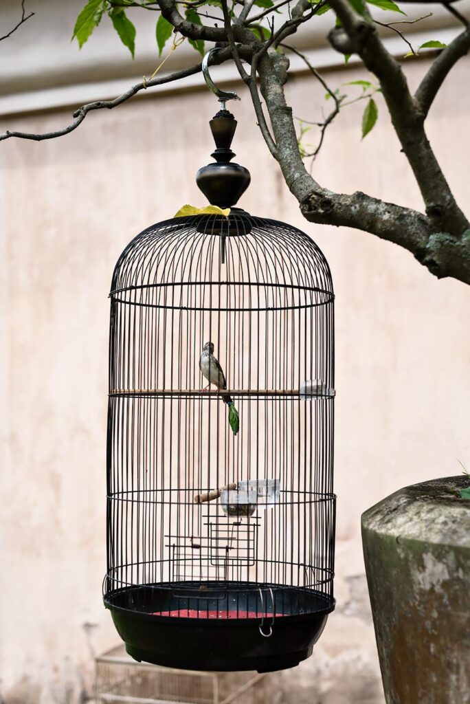 8 Interesting Things to Do and See in Yogyakarta | Water Castle Taman Sari