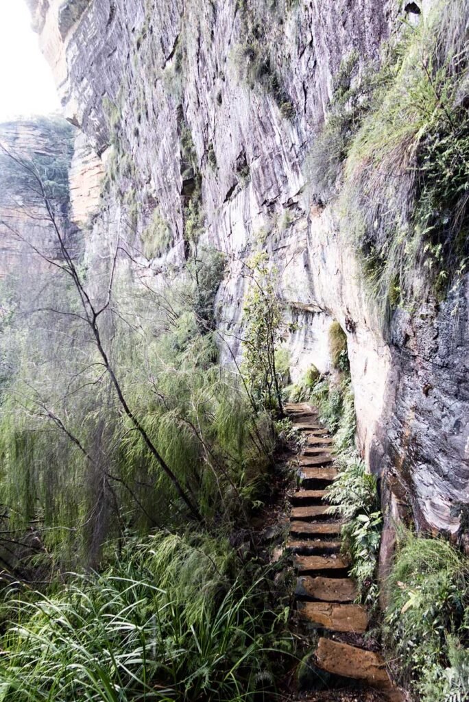 Blue Mountains: the Best Day Trip from Sydney - Wentworth Falls National Pass