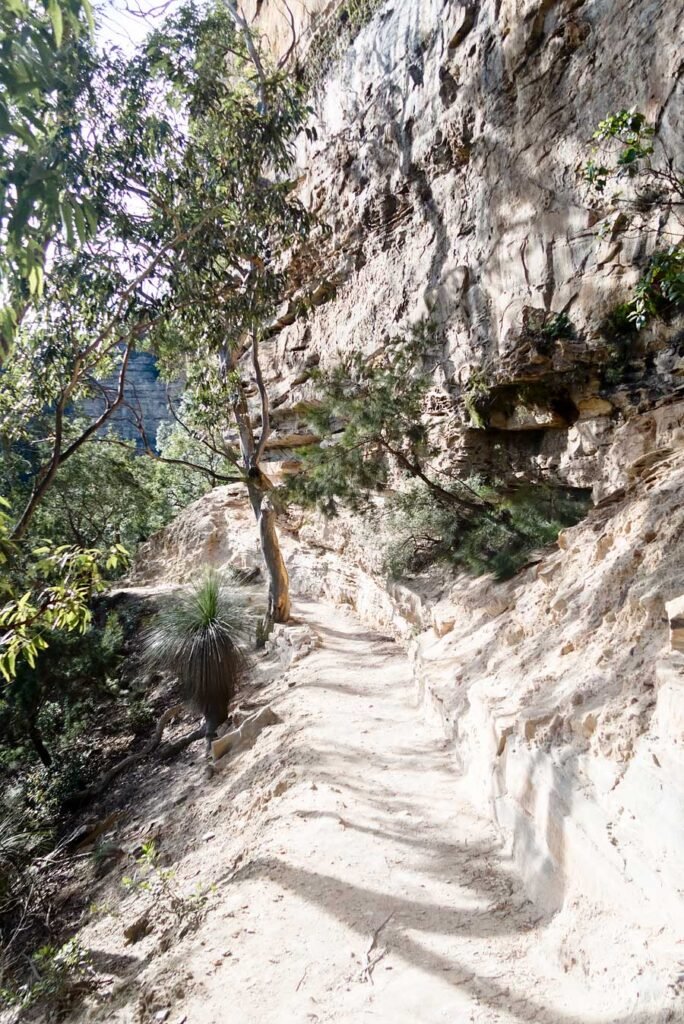 Blue Mountains: the Best Day Trip from Sydney - Wentworth Falls National Pass Walking Trail