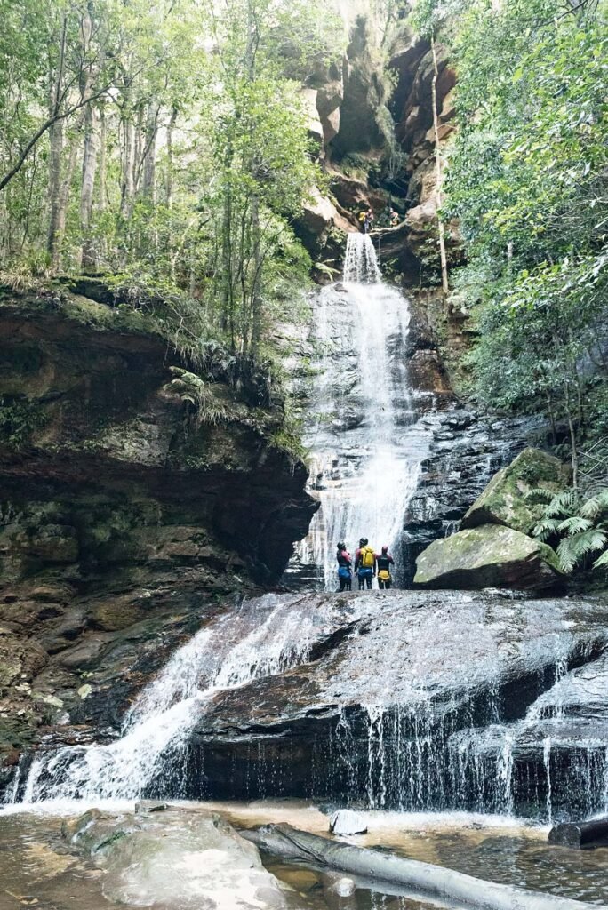 Blue Mountains: the Best Day Trip from Sydney - Wentworth Falls National Pass Waterfall