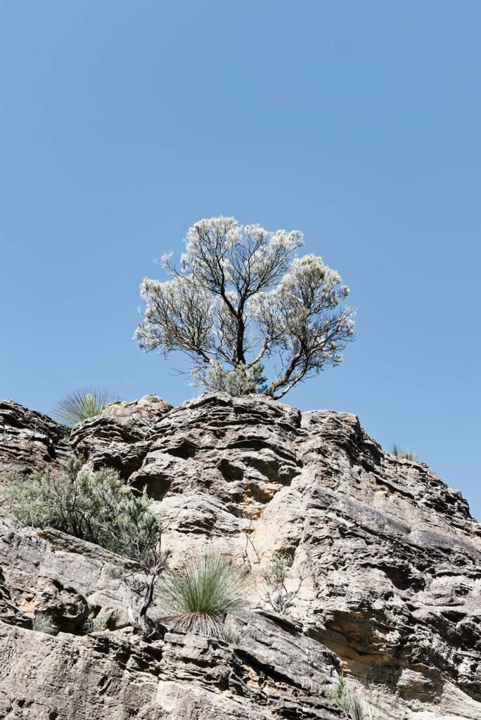 Blue Mountains: the Best Day Trip from Sydney - Three Sisters