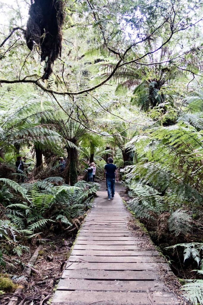 The Great Ocean Road in One Day from Melbourne + video | Great Otway National Park