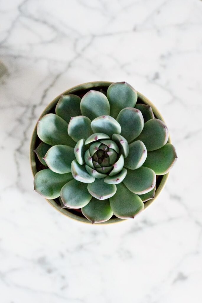 10 tricks to turn your bedroom into your favourite boutique hotel