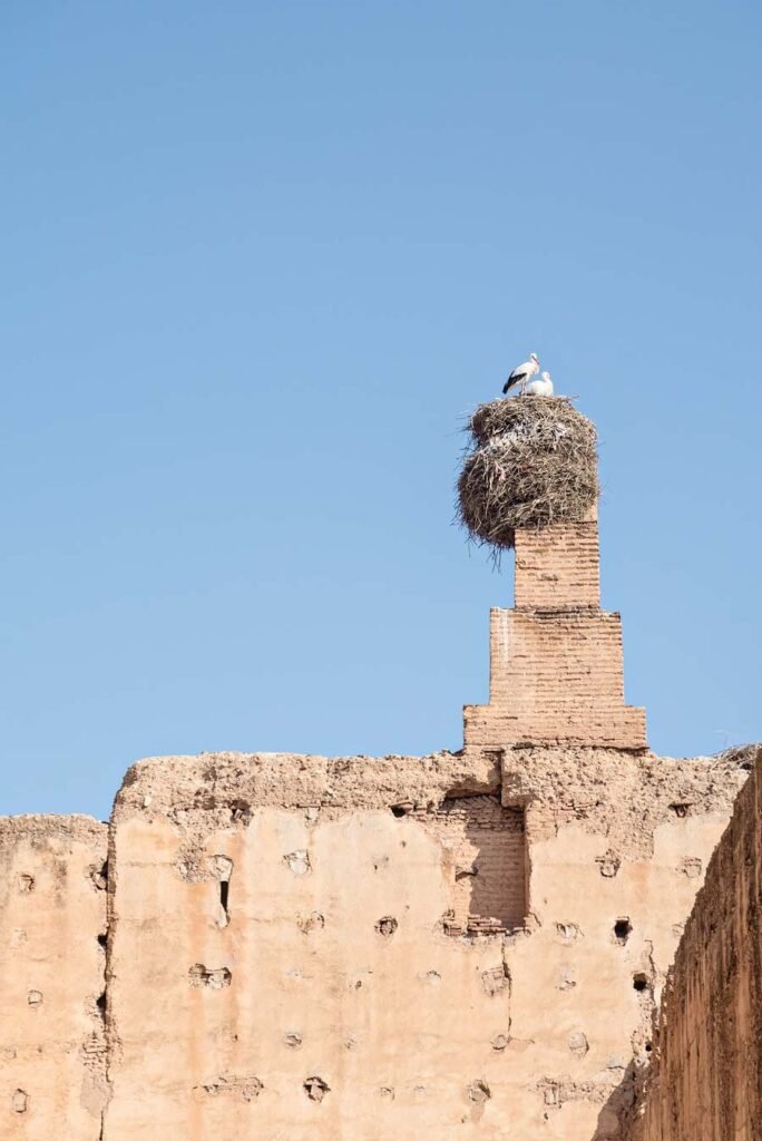 10 Amazing Things to Do in Marrakech (Marrakesh), Morocco - Palais El Badiî