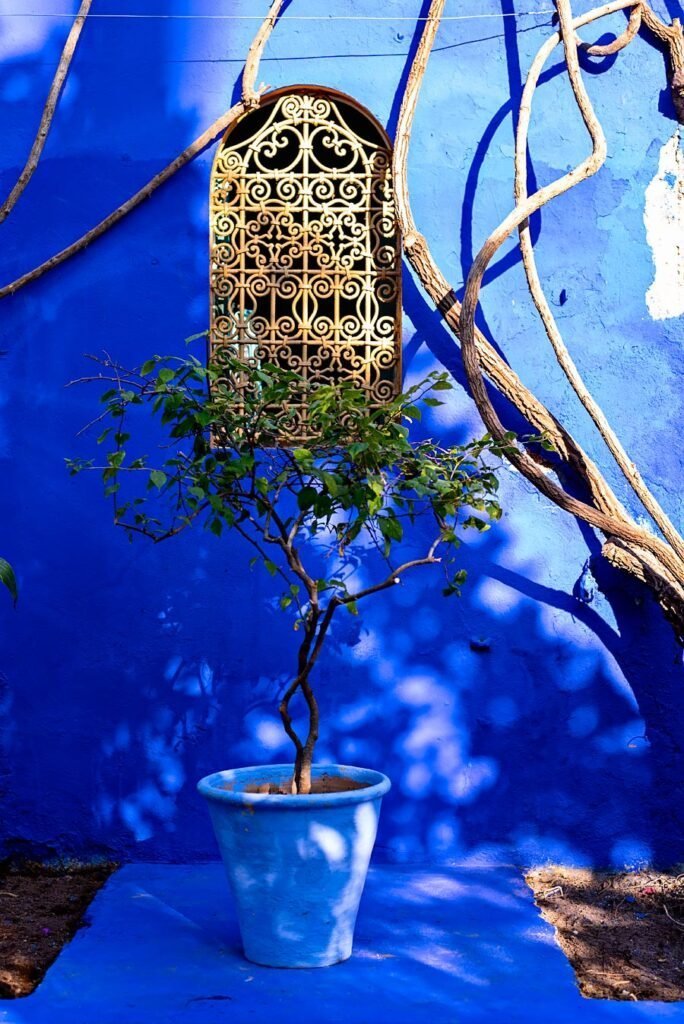 10 Amazing Things to Do in Marrakech (Marrakesh), Morocco - Jardin Majorelle