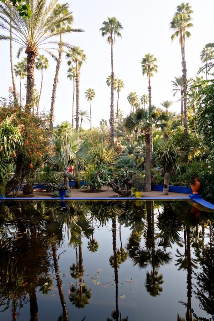10 Amazing Things to Do in Marrakech (Marrakesh), Morocco - Jardin Majorelle