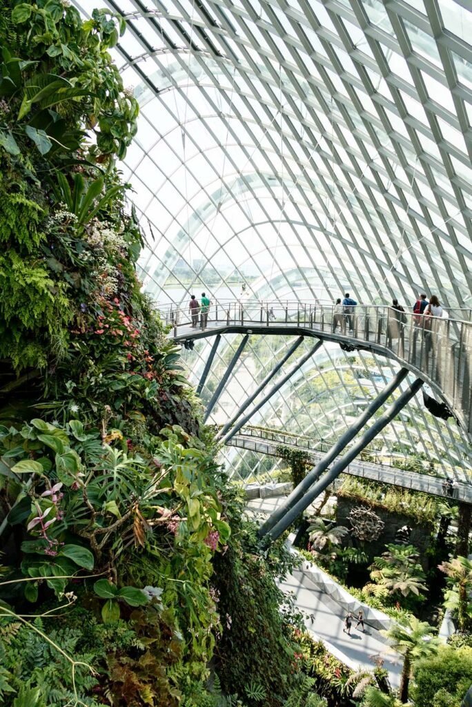 Ultimate Guide to the Best Places to Go, Eat and Stay in Singapore | Gardens by the Bay - Cloud Forest