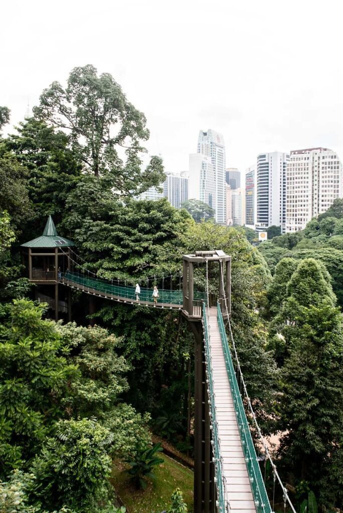 How to spend 3 amazing days in Kuala Lumpur, Malaysia - KL Forest Eco Park Canopy Walk
