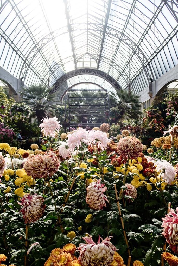 Auckland Domain Winter Garden | New Zealand's North Island in 1 Week: Road Trip Highlights and Itinerary