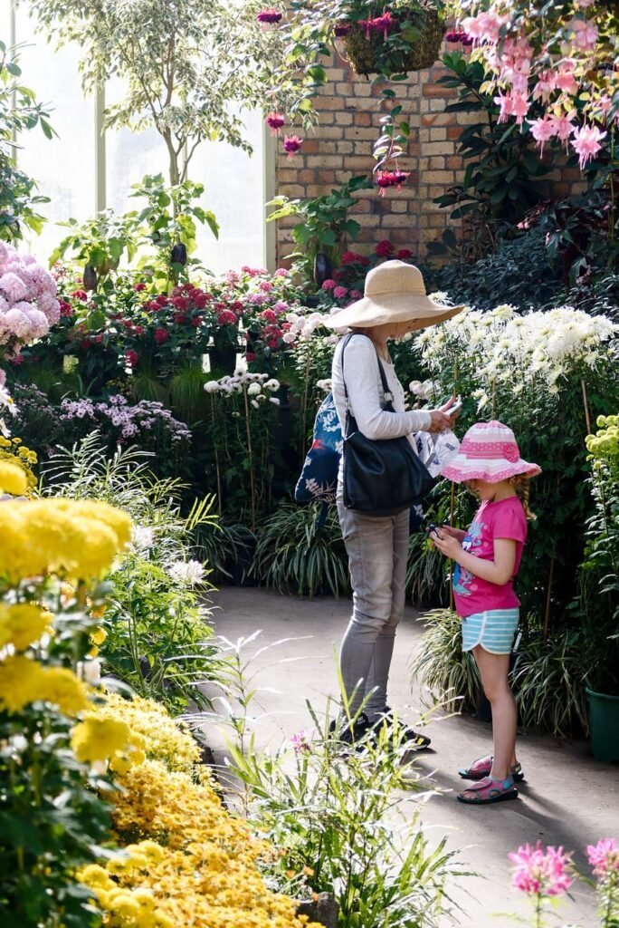 Auckland Domain Winter Garden | New Zealand's North Island in 1 Week: Road Trip Highlights and Itinerary